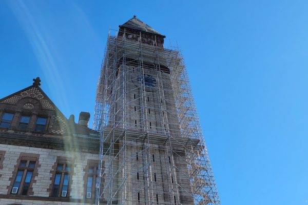 Scaffold Builders Albany City Hall108