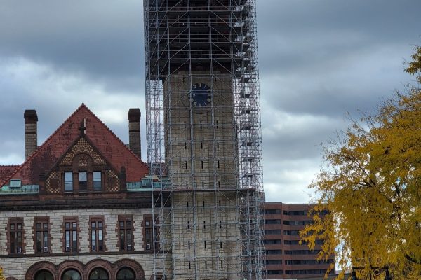 Scaffold Builders Albany City Hall114
